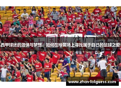 西甲球迷的激情与梦想：如何在绿茵场上寻找属于自己的足球之爱